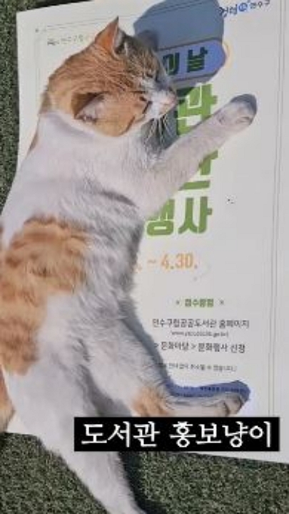 관이의 하루